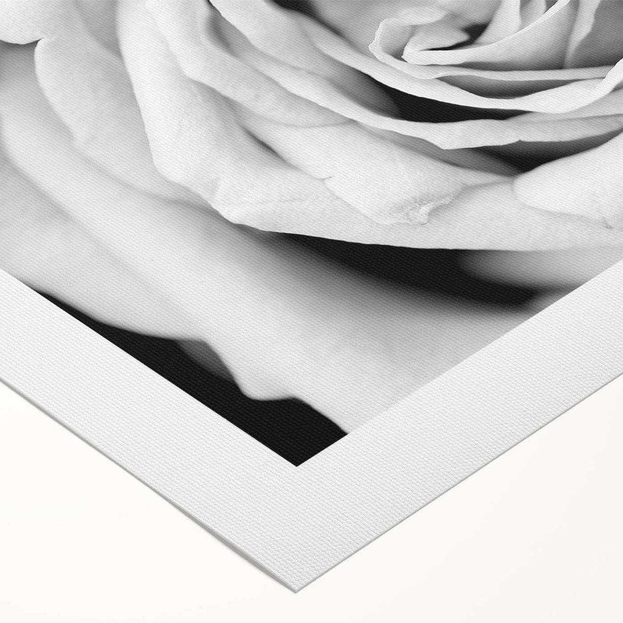 Botanical rose design wall art on rolled canvas, showcasing vibrant pink and green hues, perfect for enhancing home decor with a touch of nature.