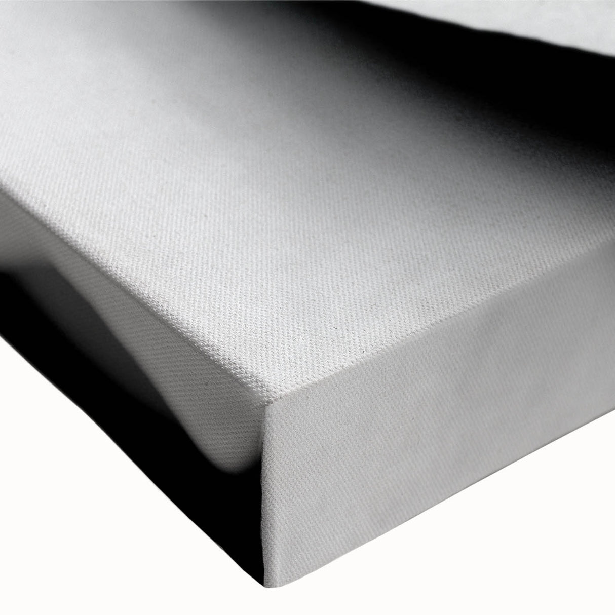 Close-up of a vibrant botanical rose design stretched canvas wall art, showcasing intricate floral details and rich colors, perfect for home decor.