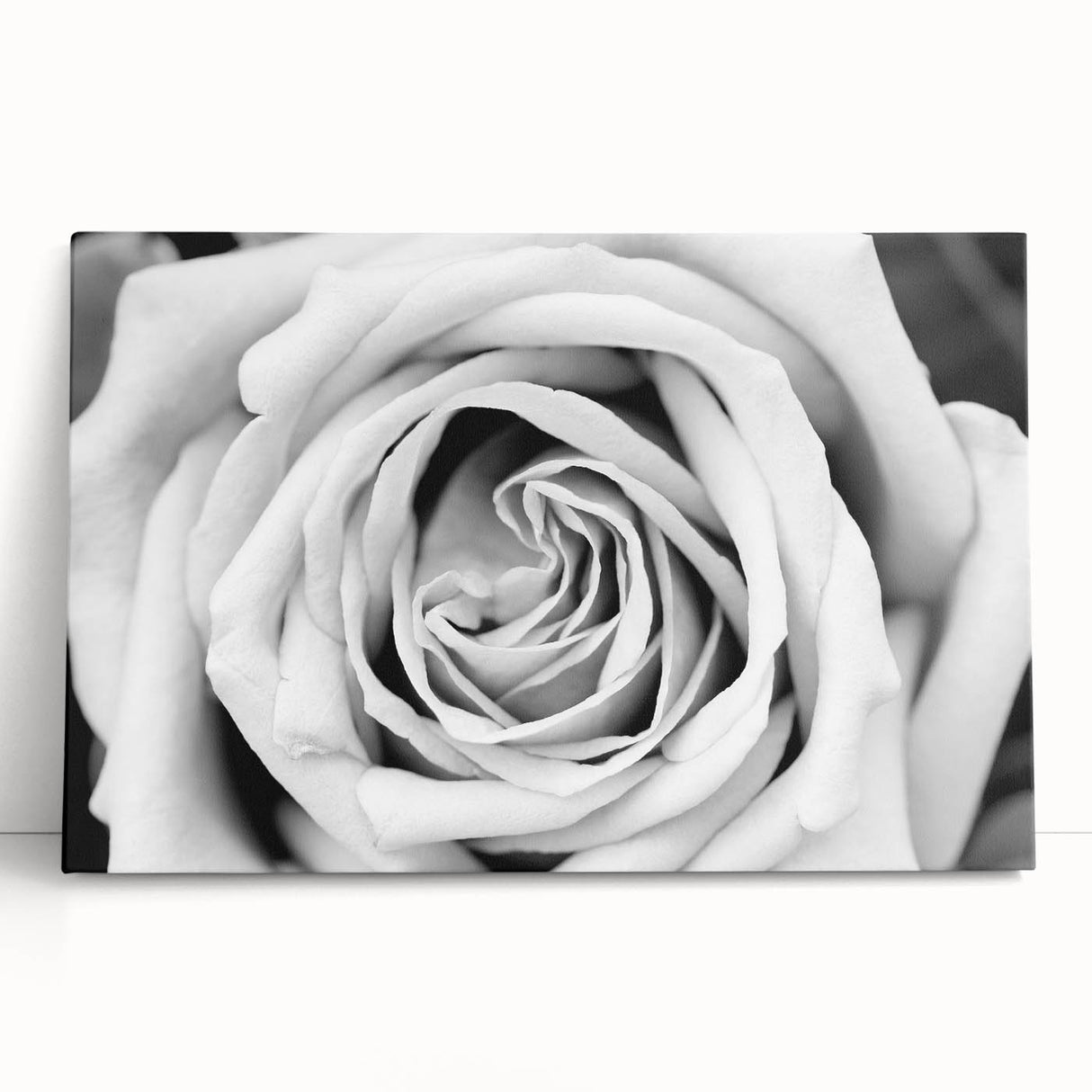 Botanical rose design wall art on stretched canvas featuring vibrant colors and intricate floral details, perfect for home decor or art enthusiasts.