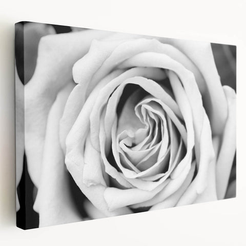 Stretched canvas wall art showcasing a botanical rose design in soft pink and green hues, perfect for adding a touch of elegance to home decor.