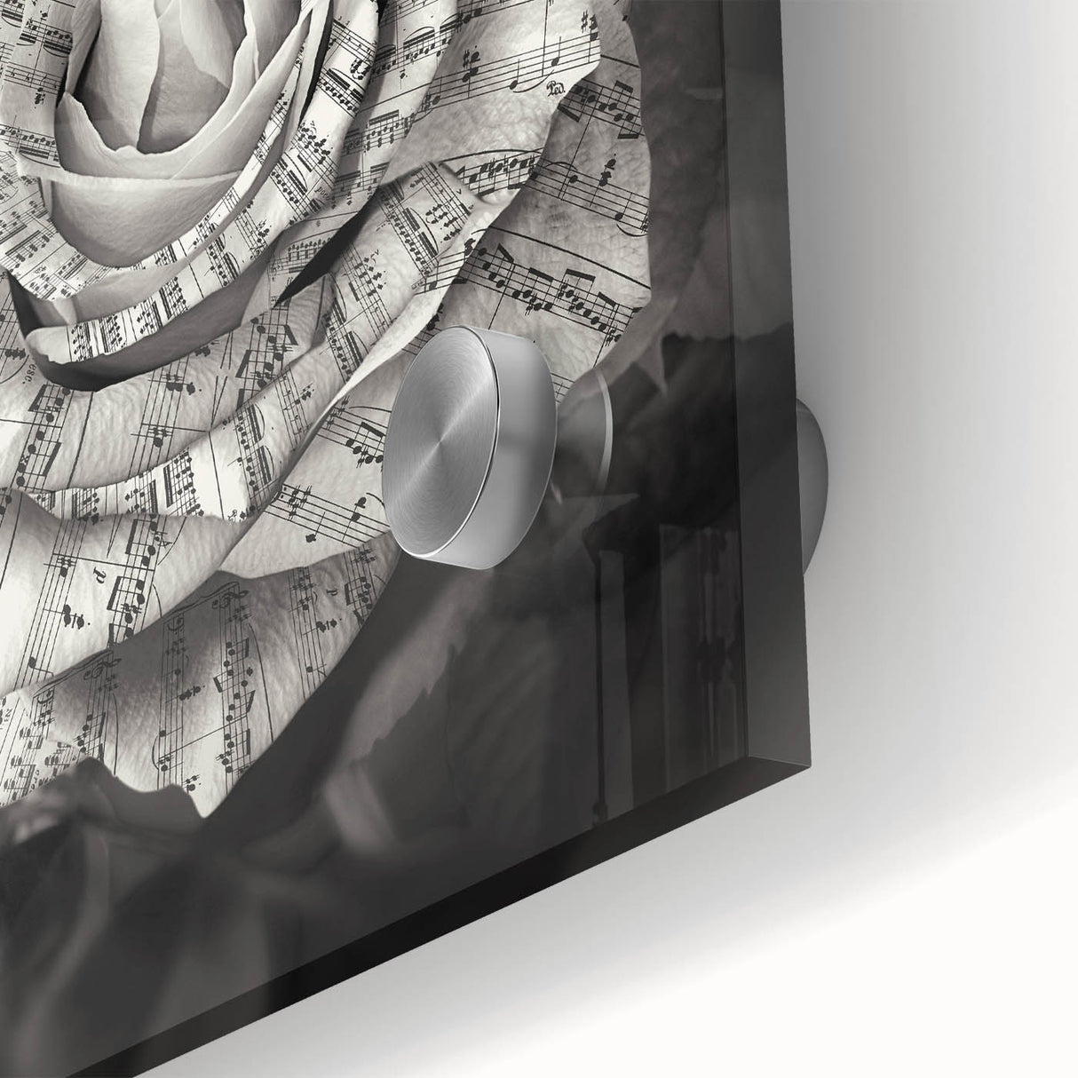 Close-up of a botanical wall art piece featuring a delicate rose design on acrylic glass, showcasing intricate details and vibrant colors ideal for home decor.