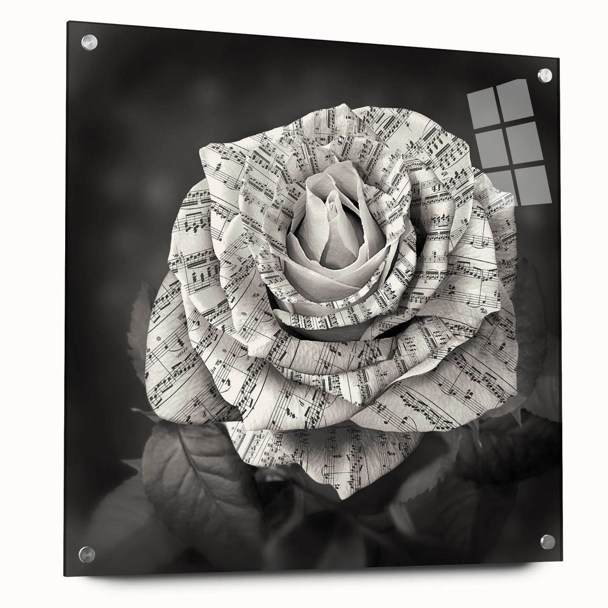 Botanical wall art featuring a delicate rose design, showcased in an elegant acrylic frame with pins, highlighting its vibrant colors and intricate details, ideal for home decor.