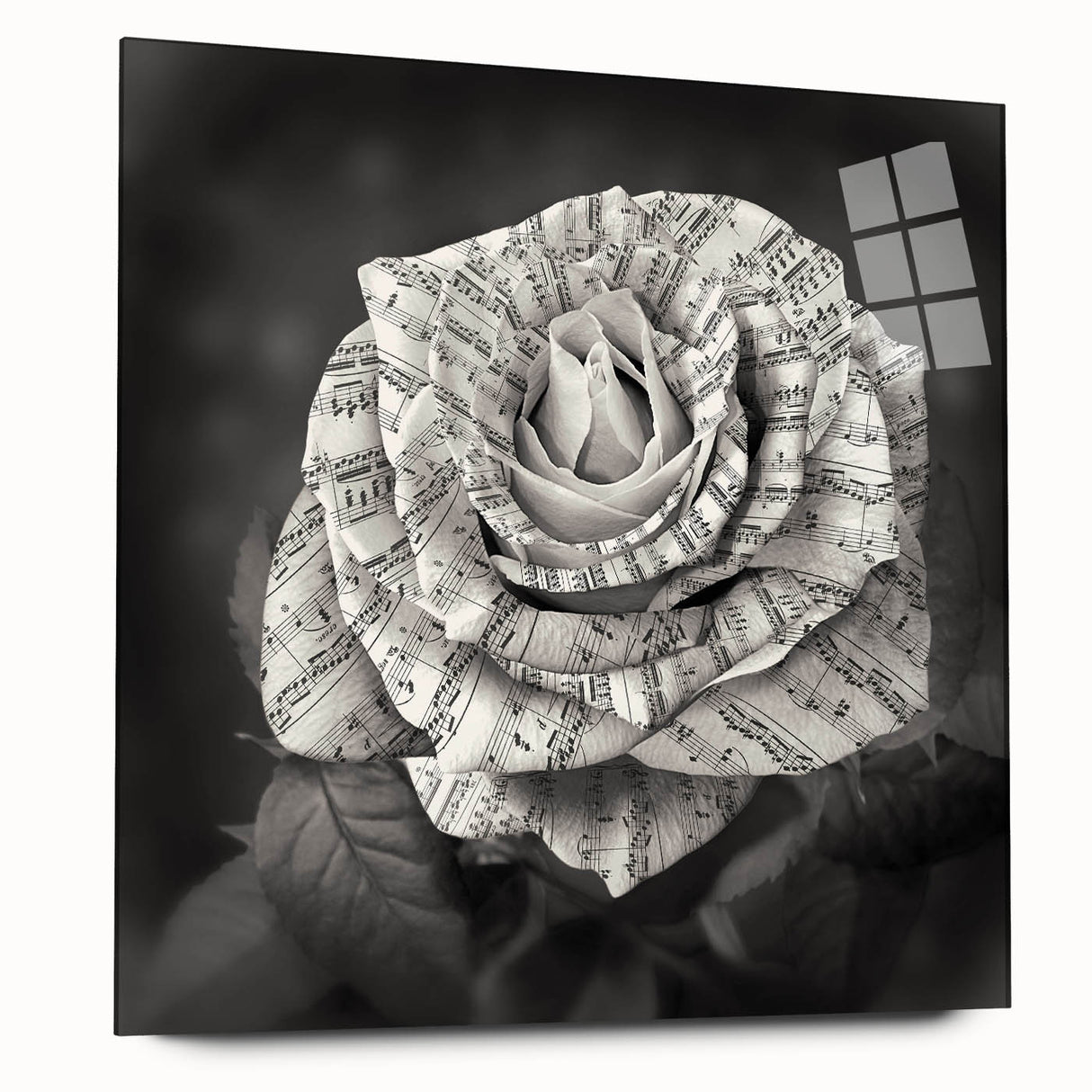 Acrylic glass wall art showcasing a botanical rose design, elegantly displayed from a side view, highlighting its vibrant colors and modern aesthetic. Perfect for enhancing home decor.