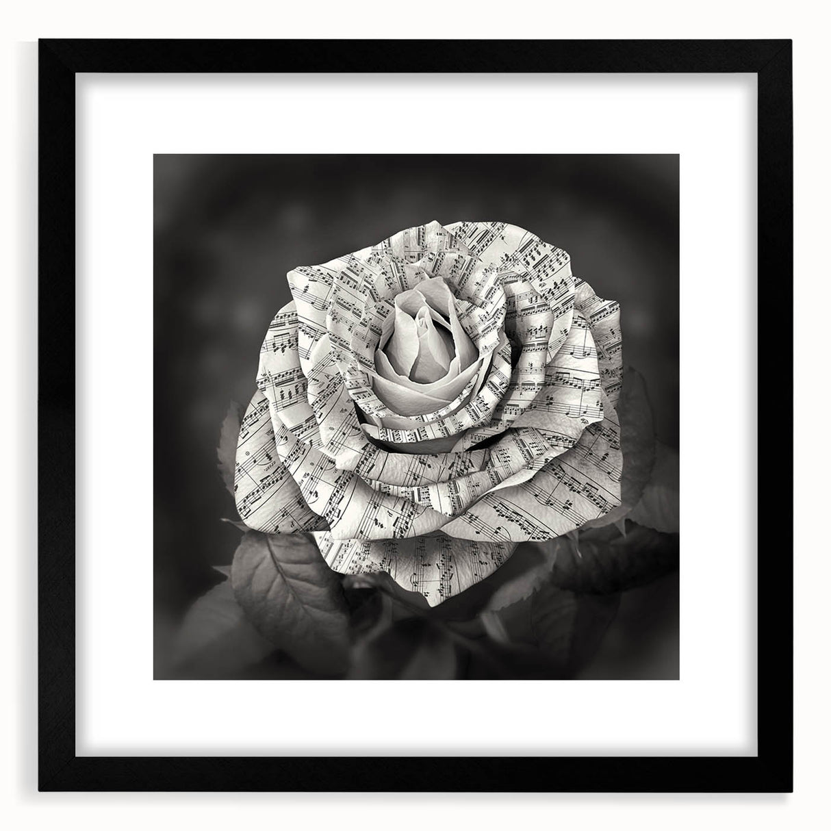 Botanical rose wall art design framed in black, showcasing delicate floral details and intricate patterns, perfect for enhancing home decor aesthetics.