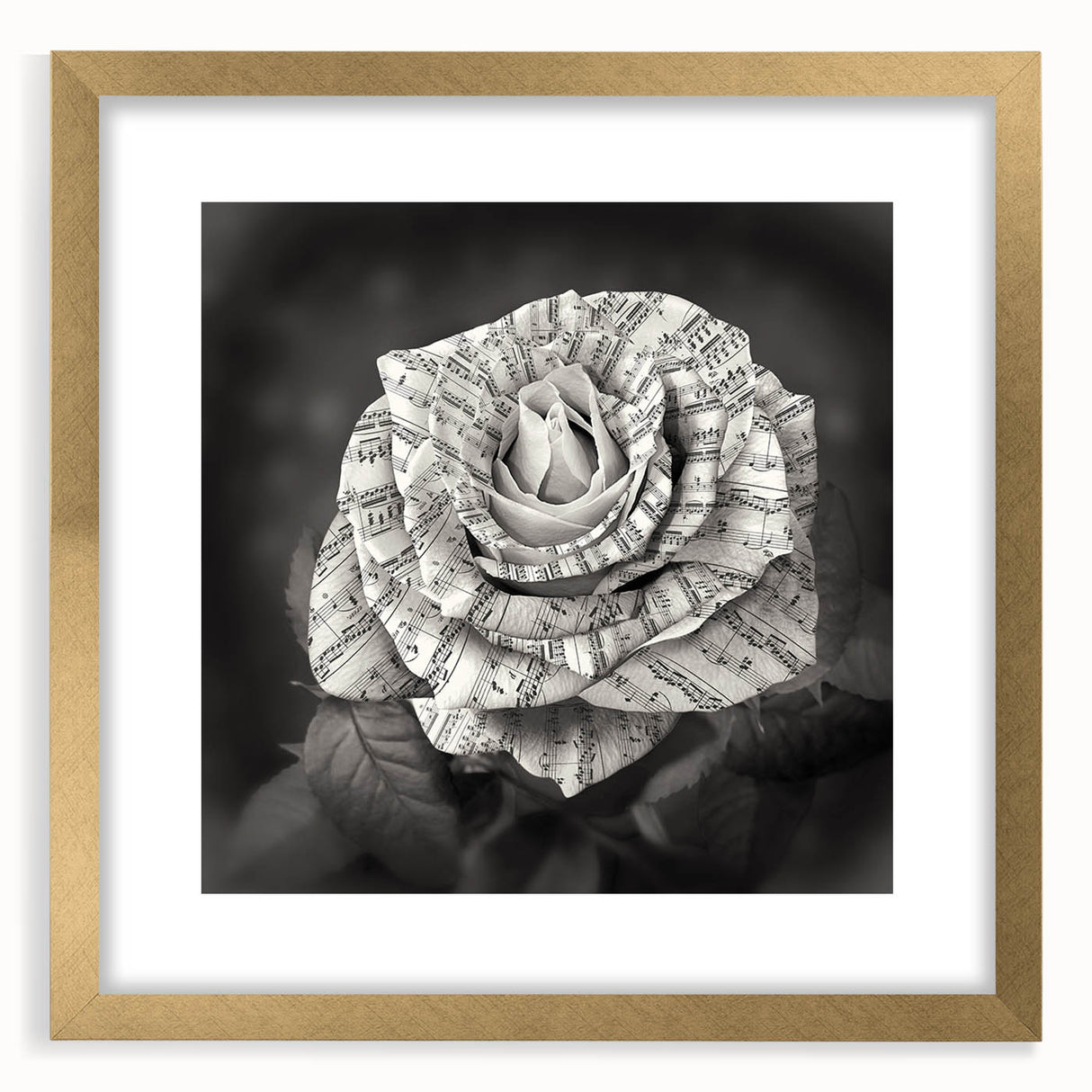Botanical wall art featuring a delicate rose design in a gold frame with matting, perfect for enhancing home decor. Ideal for floral enthusiasts and art collectors.
