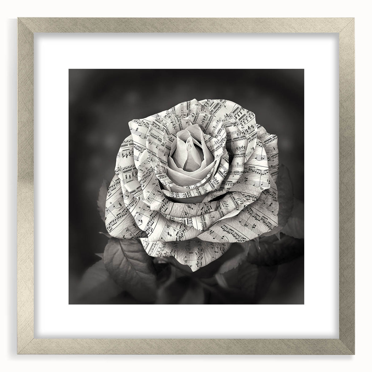 Botanical wall art featuring a delicate rose design in a silver frame with a mat, showcasing intricate floral details and elegant aesthetics for home decor.
