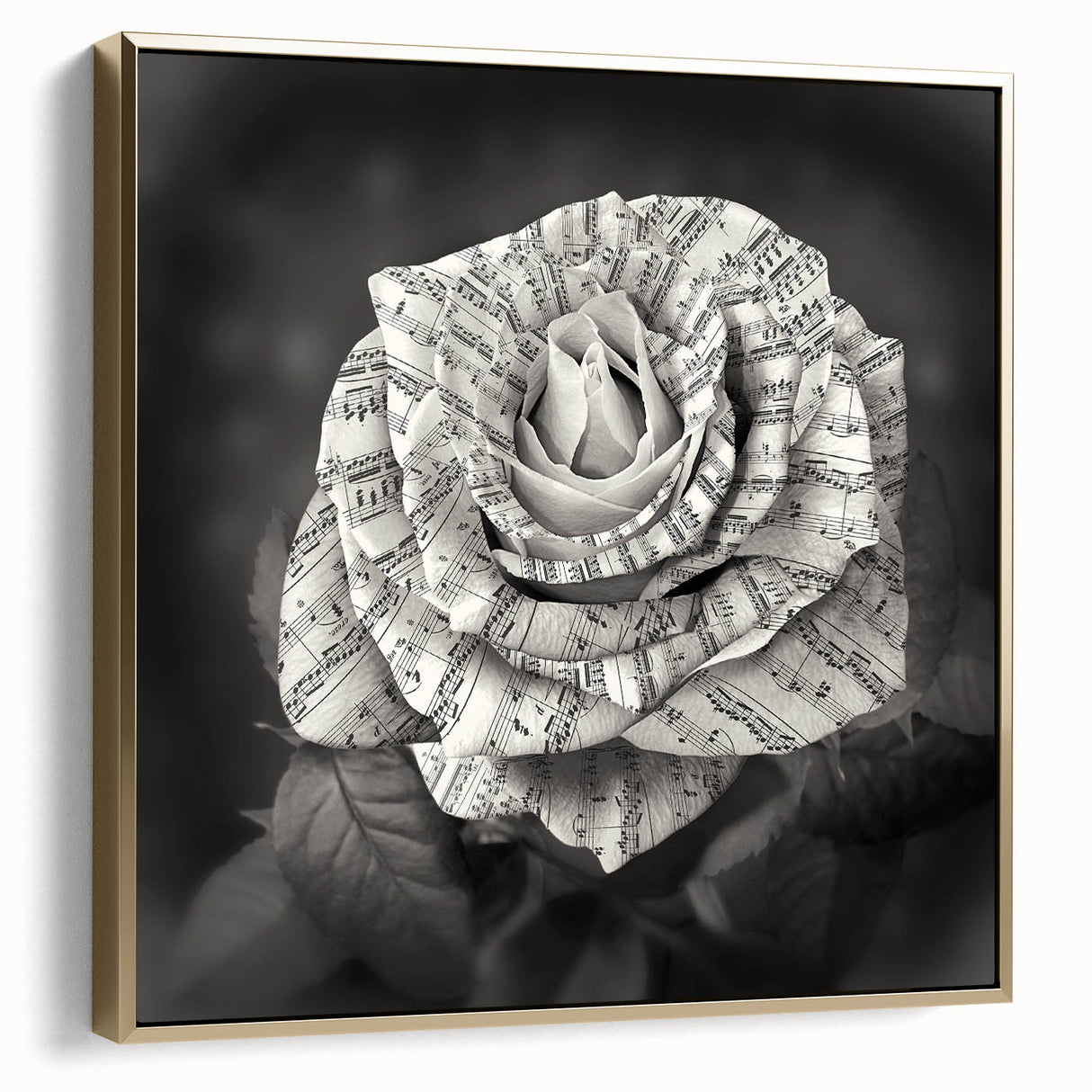 Framed canvas wall art featuring a botanical rose design in silver and gold tones, adding elegance to any décor. Ideal for floral-themed interiors.