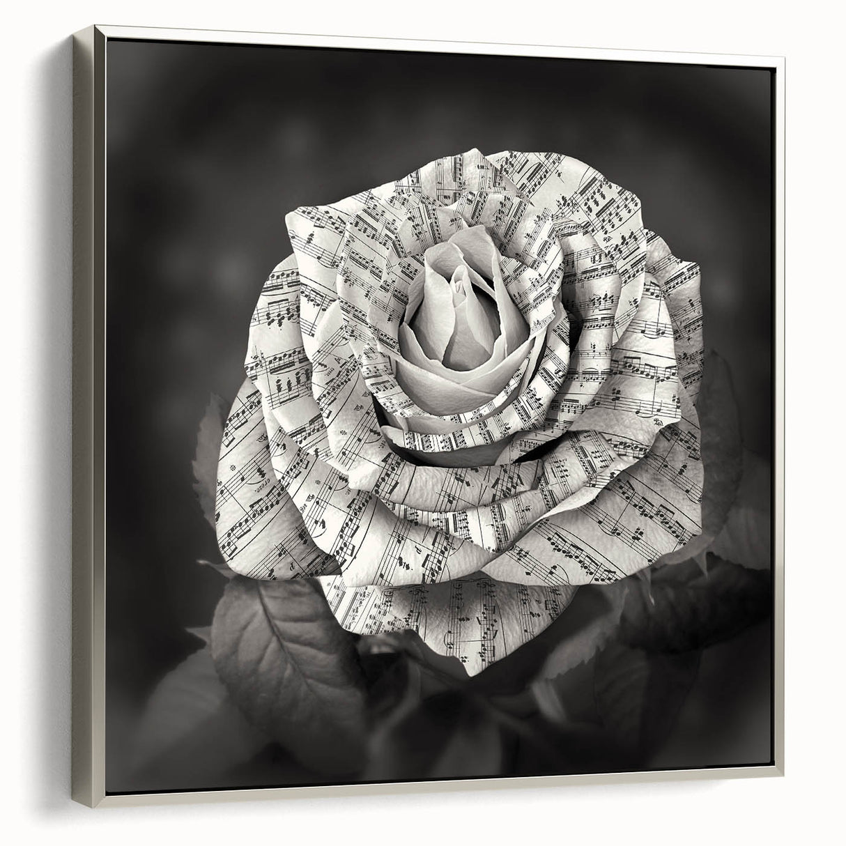 Framed wall art featuring a botanical rose design on canvas, elegantly displayed with a silver frame, showcasing intricate floral details and vibrant colors. Perfect for enhancing home decor.