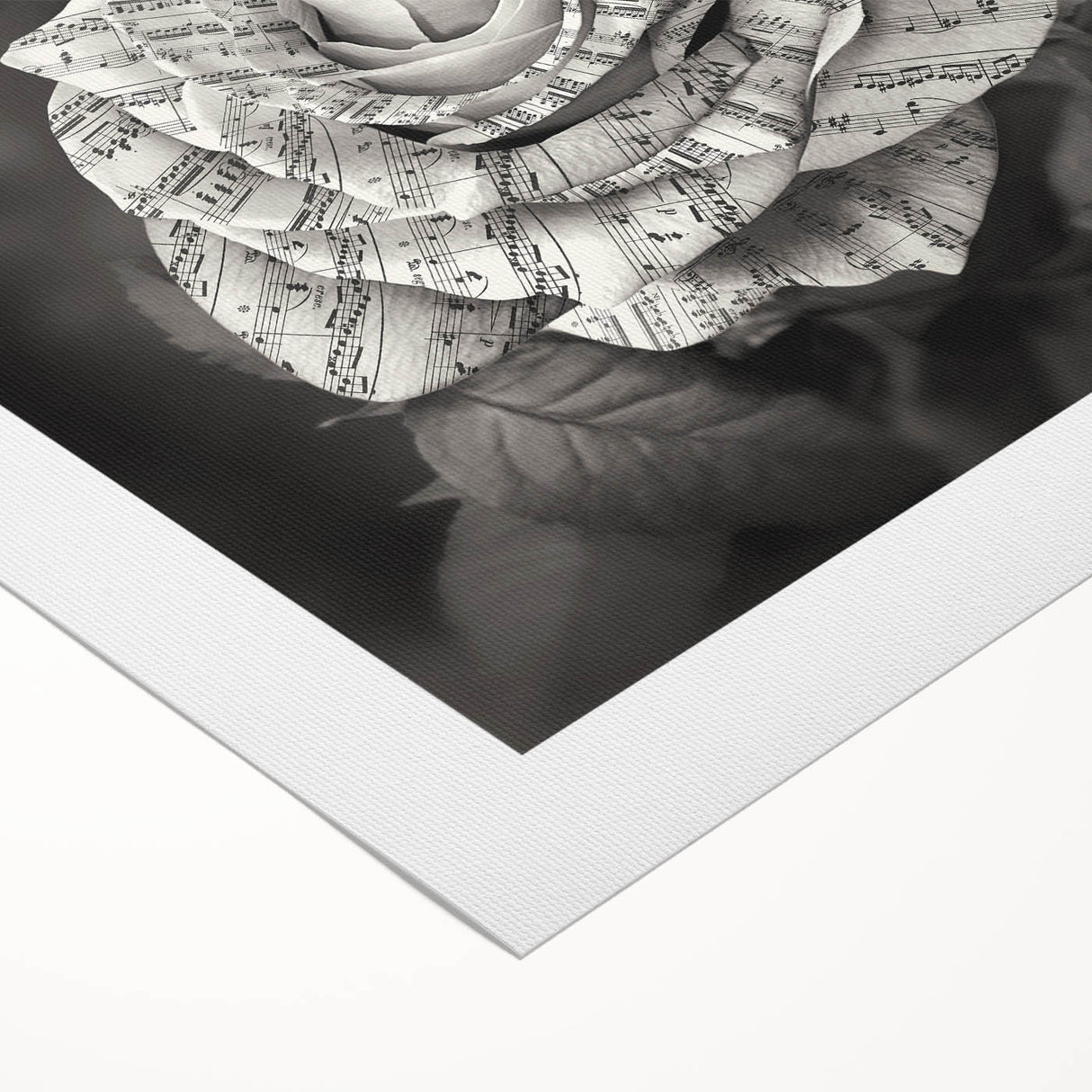 Botanical rose design wall art on rolled canvas, showcasing vibrant pink and green floral elements against a soft background, ideal for home decor.