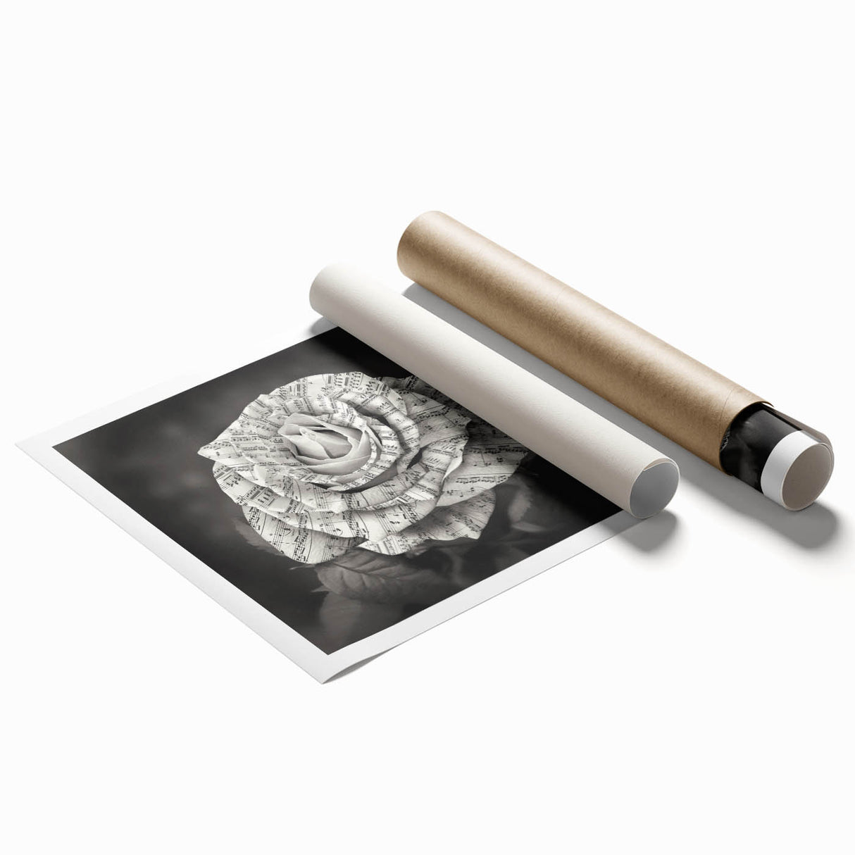 Botanical rose wall art print showcasing intricate floral designs in soft pastel colors, rolled for easy display and featuring a protective cardboard tube packaging.