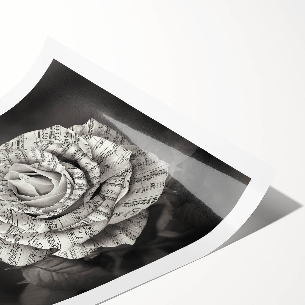 Botanical wall art print showcasing a detailed rose design in soft pink and green hues, rolled and ready for framing. Ideal for home decor enthusiasts seeking floral aesthetics.