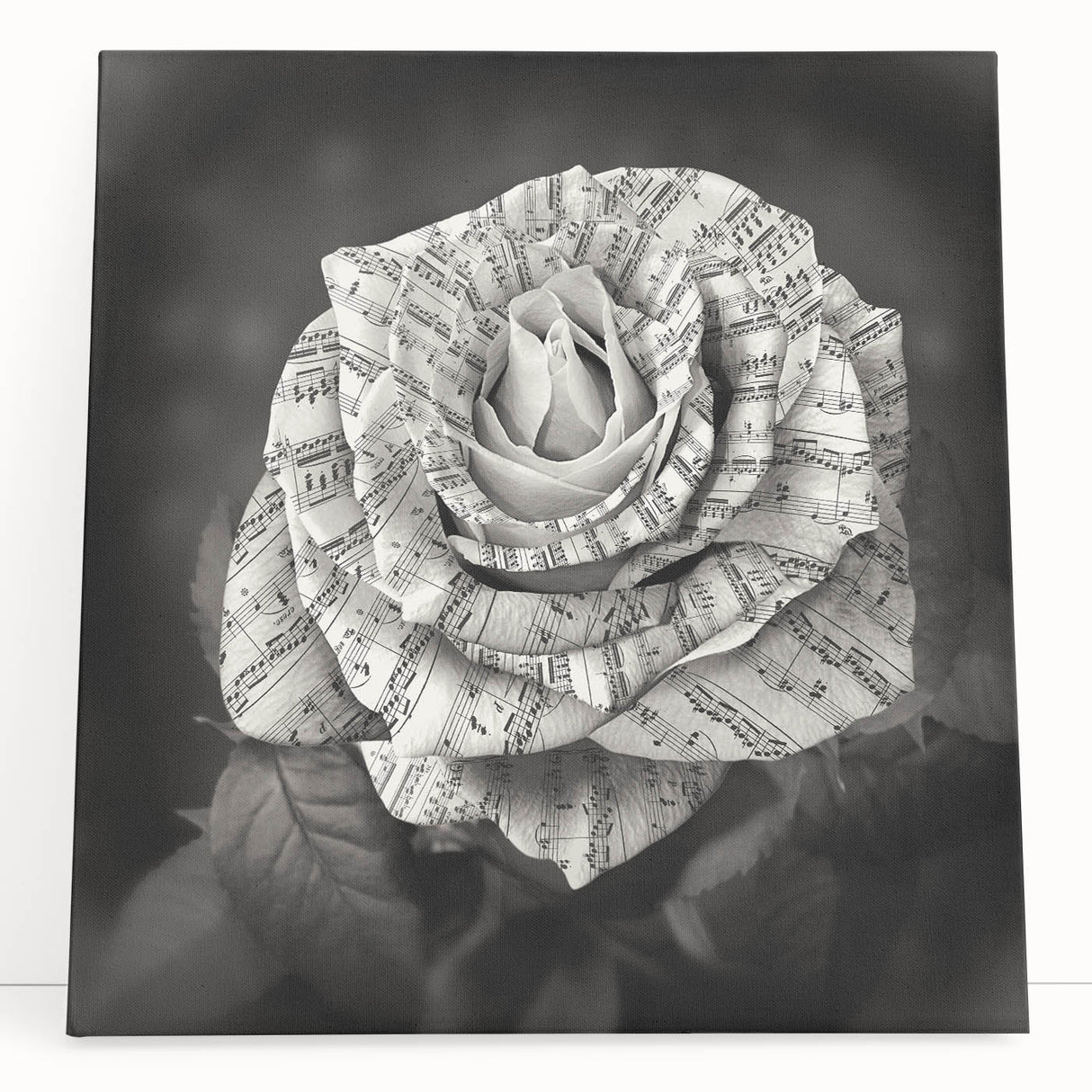 Botanical rose design wall art on stretched canvas, showcasing vibrant pink and green hues, ideal for home decor in a living room or office setting.