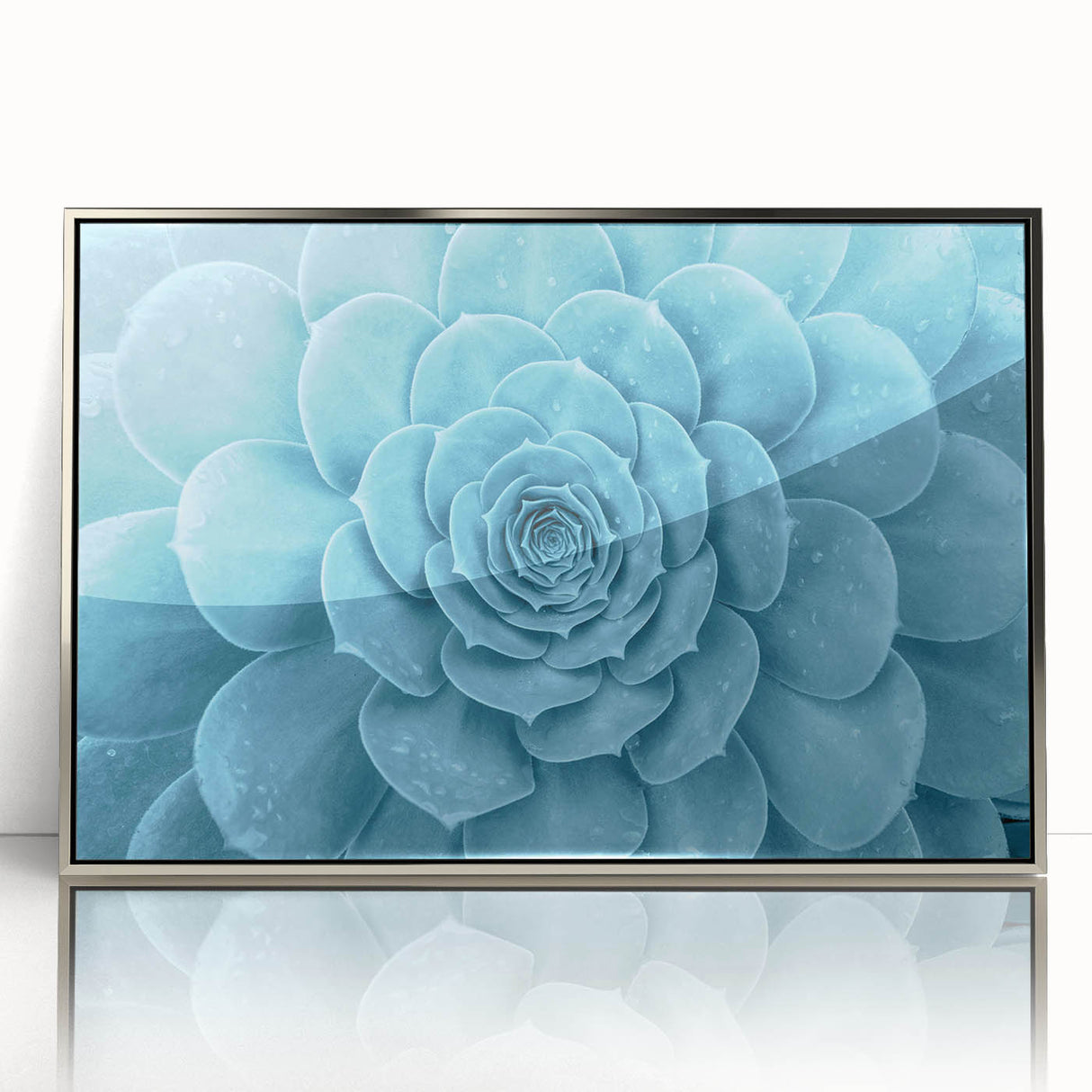 Framed wall art featuring a botanical design with colorful succulents, encased in a sleek silver frame, ideal for home decor and plant enthusiasts.
