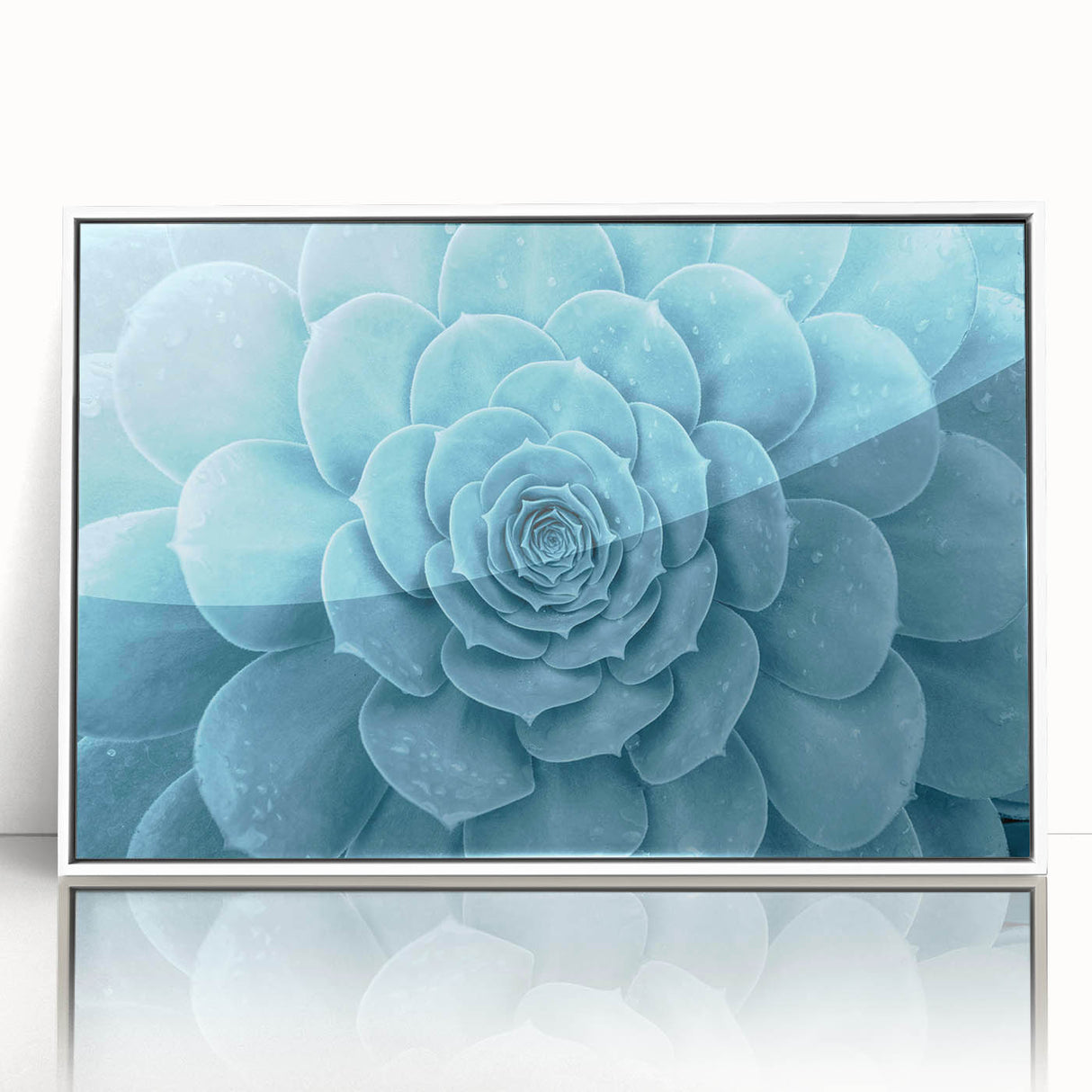 Framed acrylic wall art showcasing a vibrant collection of botanical succulents, featuring intricate details and a modern white frame, perfect for home decor.