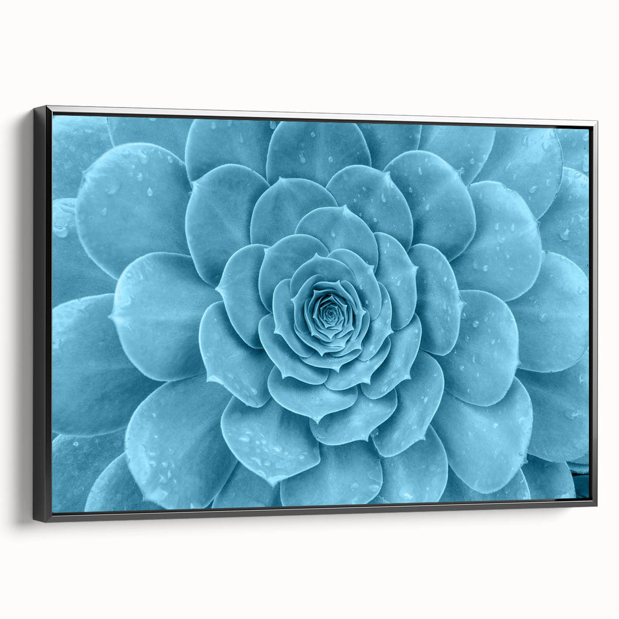 Framed wall art featuring a botanical design of succulents in vibrant colors, displayed from a side view against a neutral background, perfect for home decor.