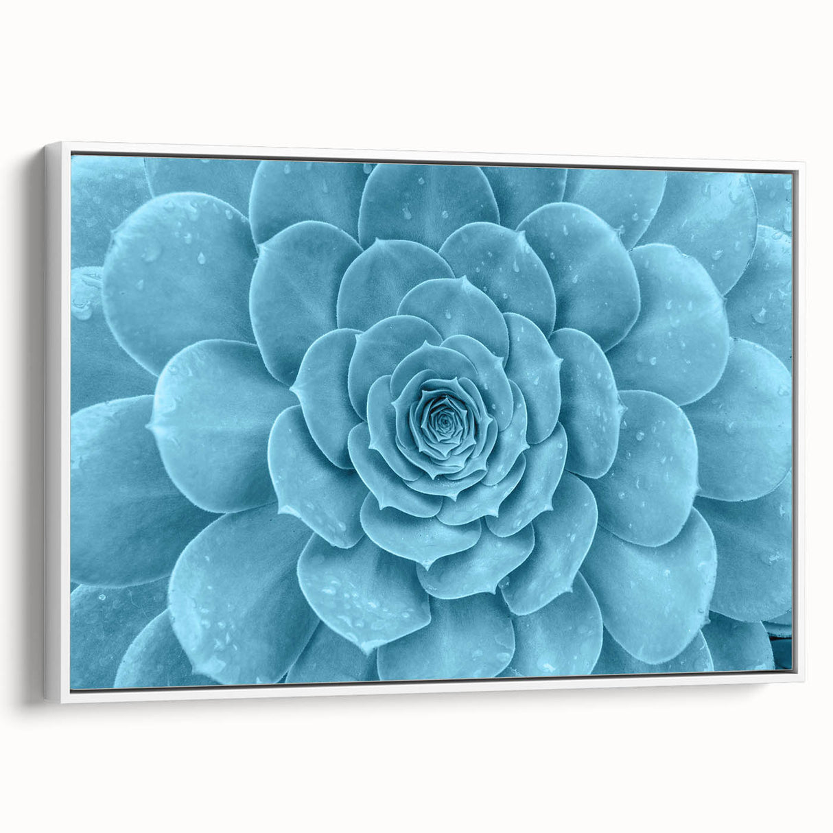 Framed wall art collection showcasing a vibrant botanical design of assorted succulents, featuring a white frame and side view display, ideal for home decor.