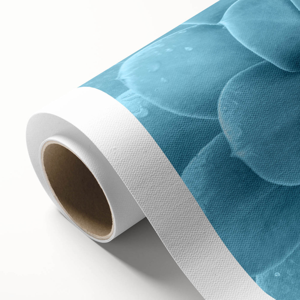 Colorful botanical succulent wall art collection on rolled canvas, showcasing intricate plant designs in vibrant hues, perfect for home decor enhancement.