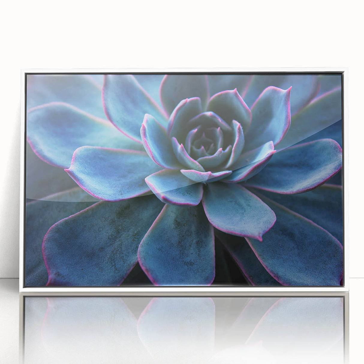 Framed wall art featuring a vibrant botanical design of assorted succulents in a white frame, perfect for home decor. The artwork highlights lush greens and soft pastels, enhancing any interior space with a touch of nature.