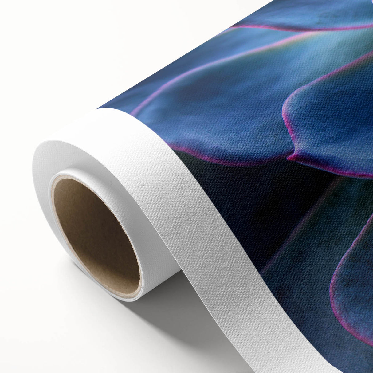 Vibrant botanical wall art design showcasing an array of colorful succulents on rolled canvas, perfect for home decor or gifting, delivered in protective packaging.