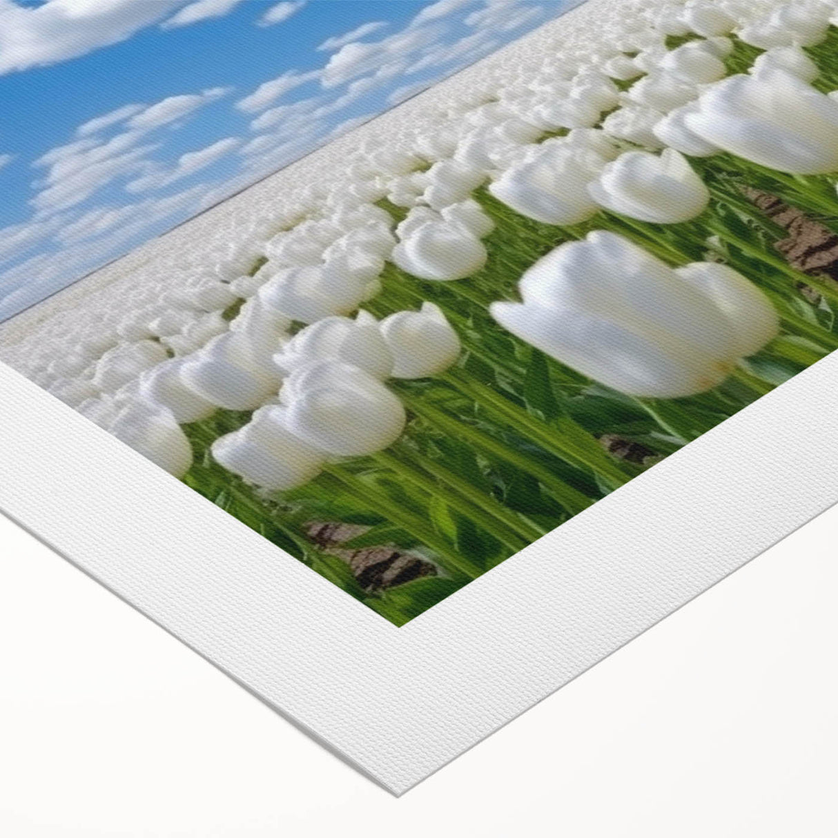 Rolled canvas featuring a vibrant botanical tulip design in shades of pink and green, elegantly showcasing floral artistry ideal for home decor and wall enhancement.