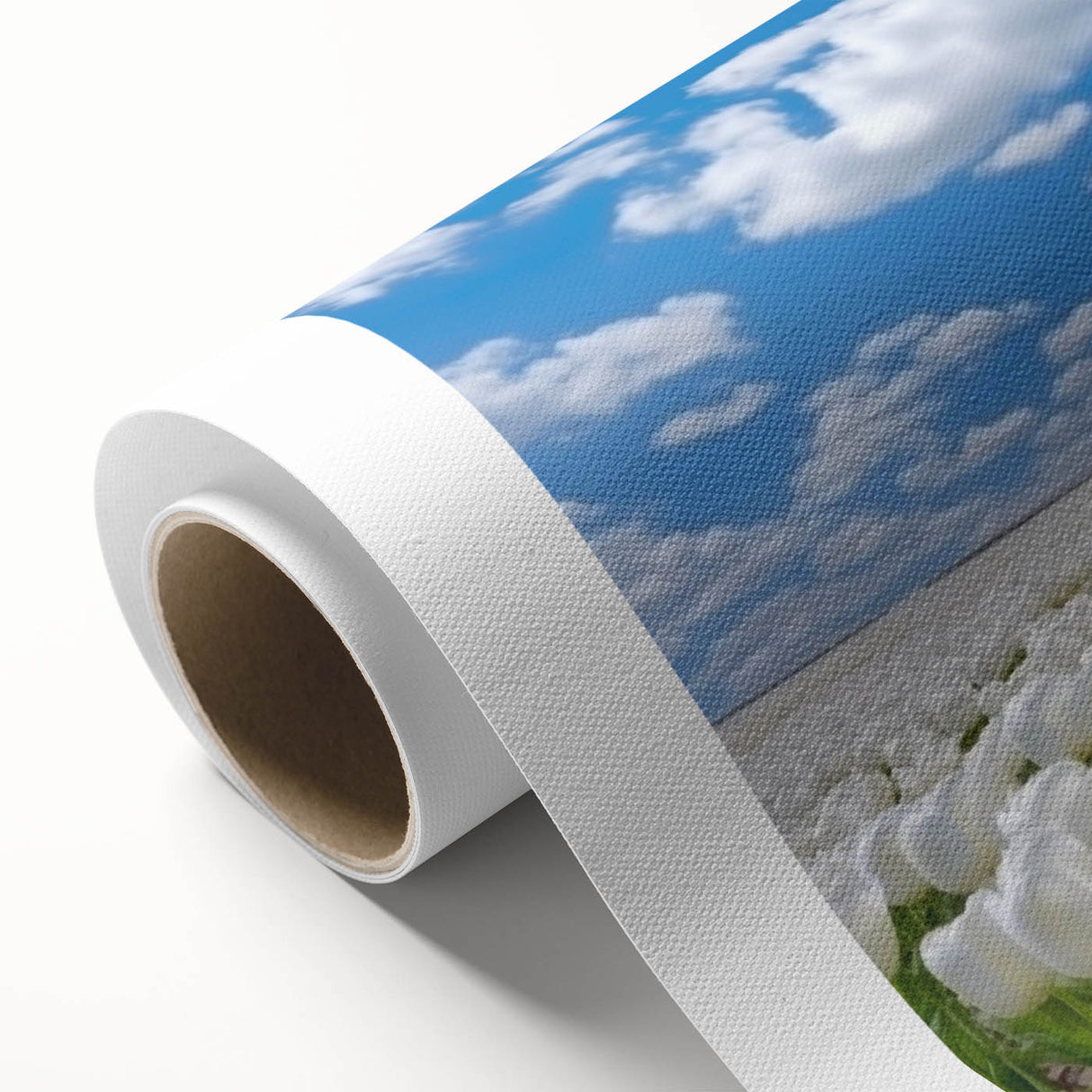 Vibrant rolled canvas print showcasing a botanical tulip design, featuring rich colors and intricate details, ideal for floral-themed home decor.