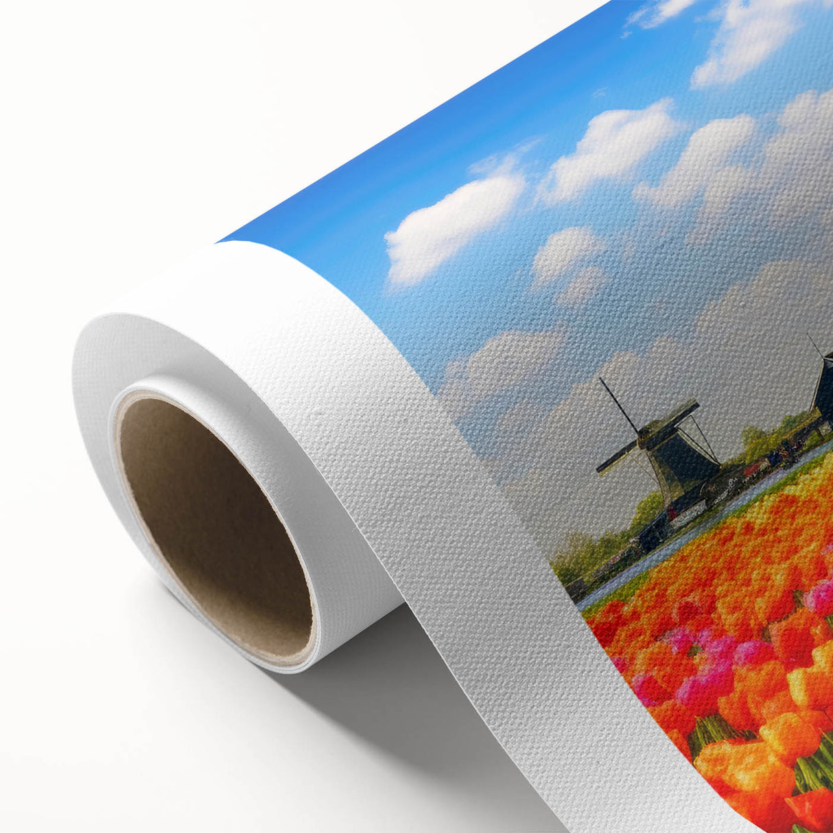 Botanical wall art featuring a vibrant tulip design on rolled canvas, showcasing rich colors and intricate details, ideal for home decor and floral enthusiasts.