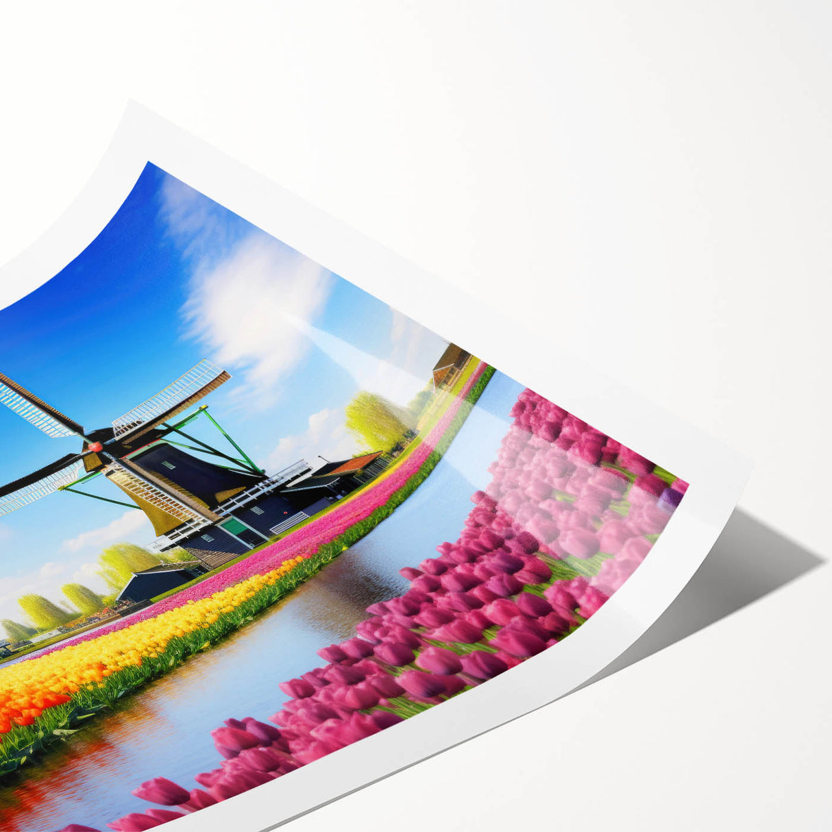 Vibrant botanical wall art print showcasing a colorful tulip design, rolled for easy shipping in a protective cardboard tube, perfect for home decor.