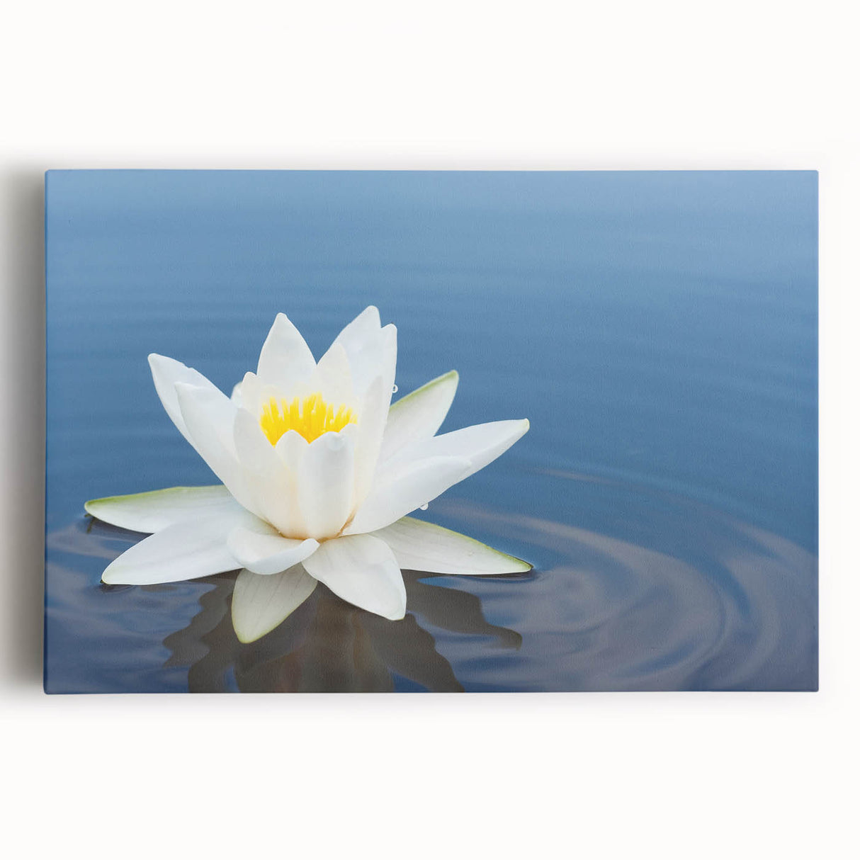 Stretched canvas wall art showcasing a vibrant botanical water lily design, featuring intricate details and soft hues of green and pink, perfect for home decor.