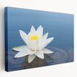 Stretched canvas wall art showcasing a vibrant botanical water lily design in rich colors, ideal for enhancing home decor with a natural touch.