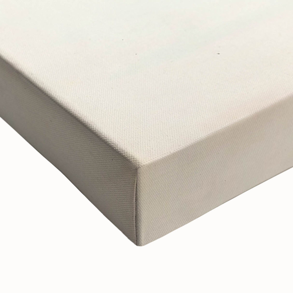 Vintage Animal Art – Spur-Winged Plover Illustration Wall Print