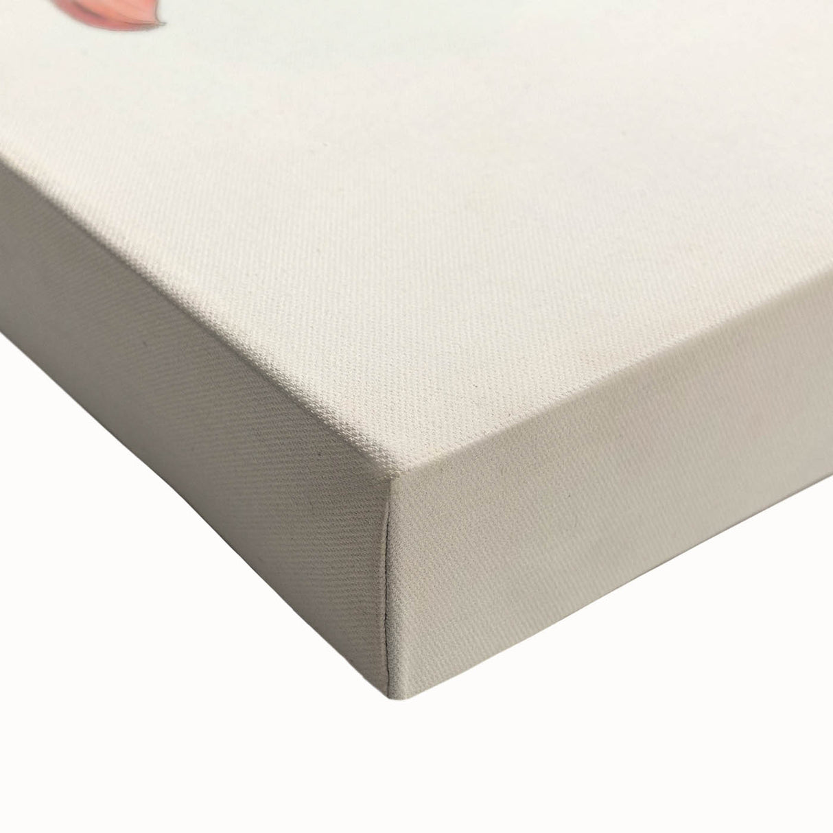 Vintage Animal Art – Spotted-Billed Duck Illustration Print