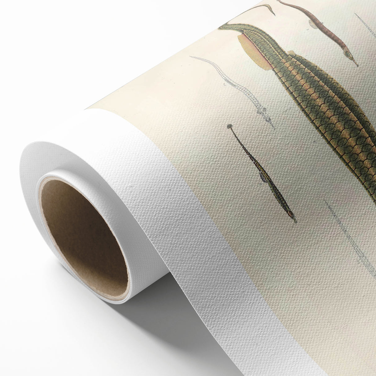 Vintage Animal Art – Exotic Pipefish Illustration Wall Print