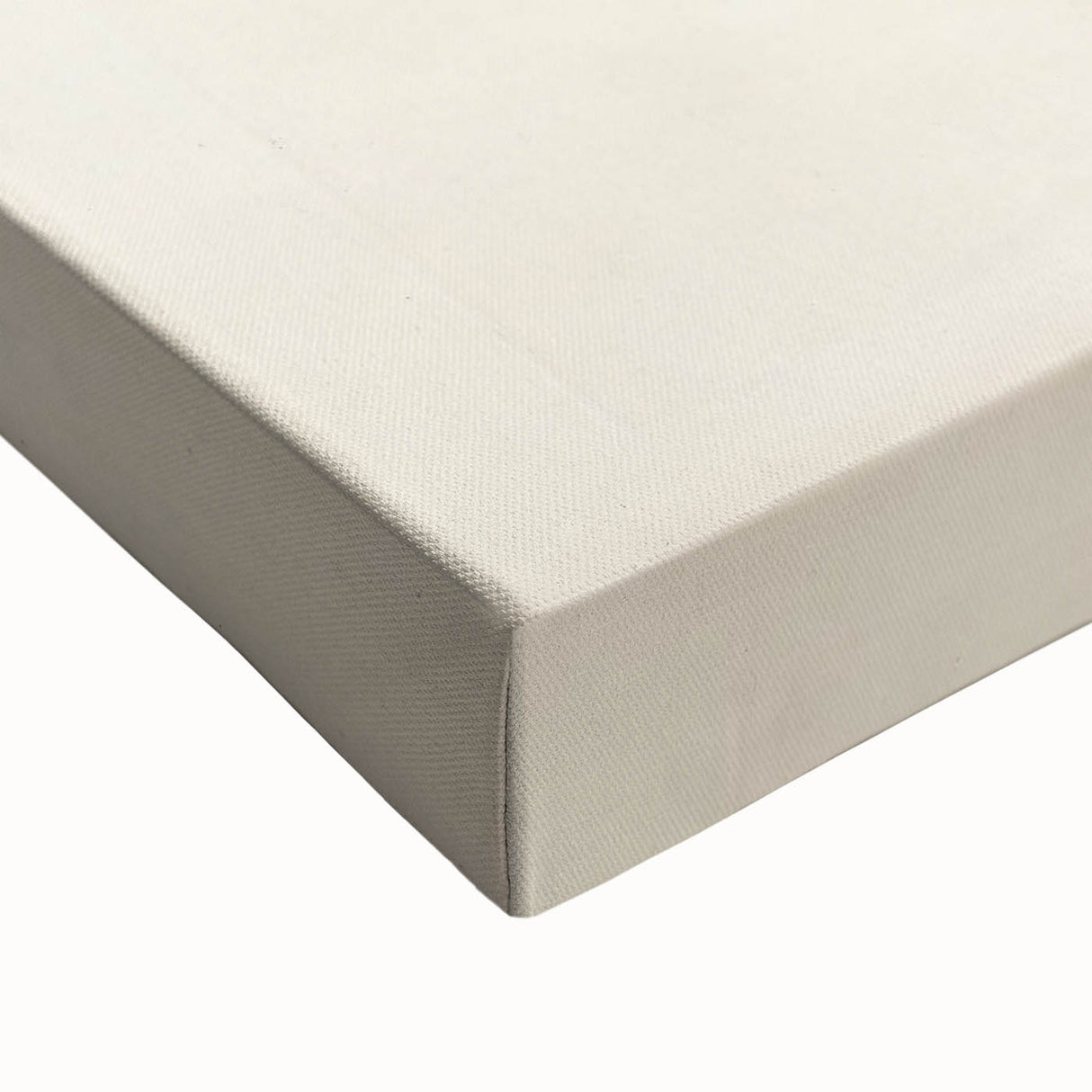 Vintage Animal Art – Exotic Pipefish Illustration Wall Print