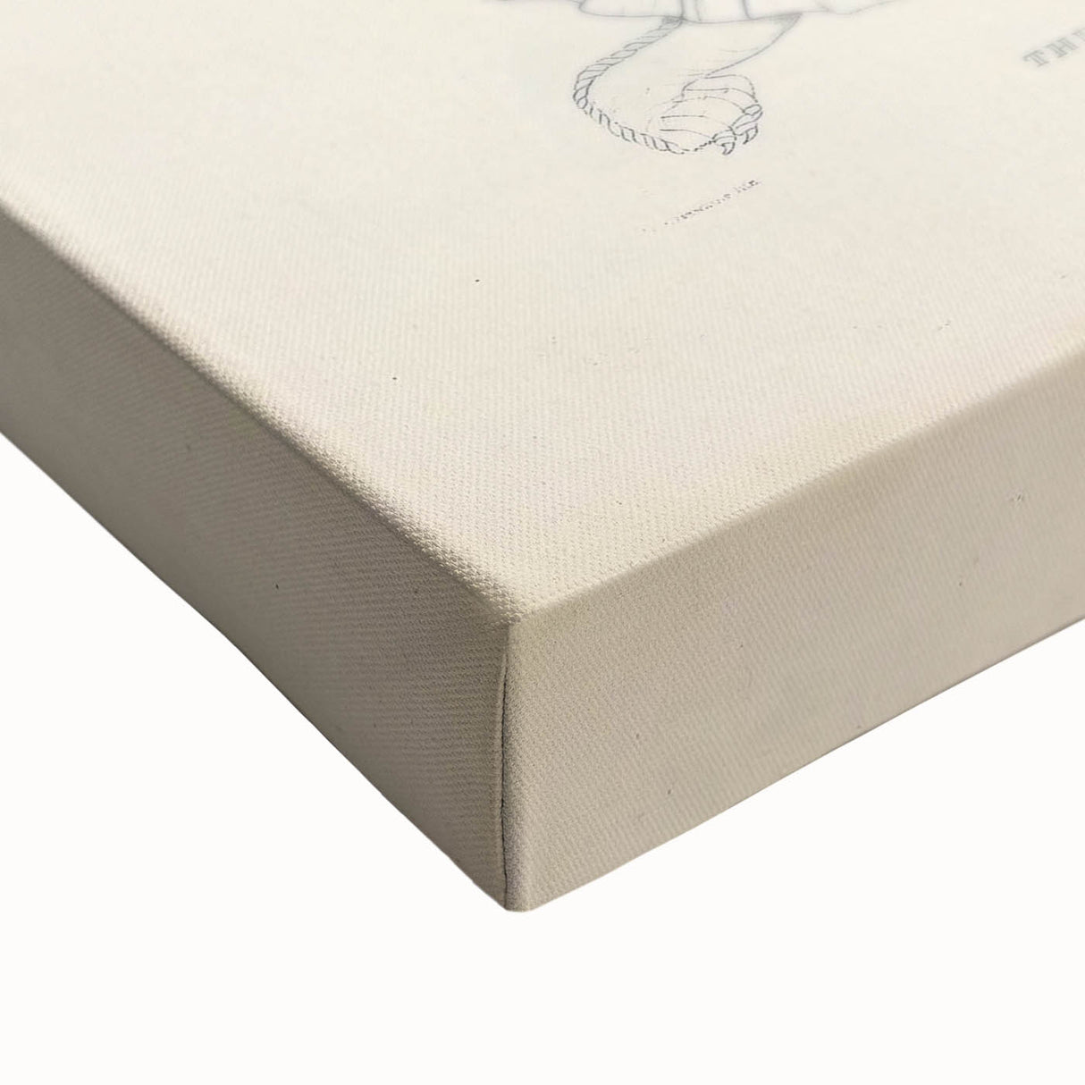 Vintage Animal Art – Thuji Terrapin Turtle Illustration Print