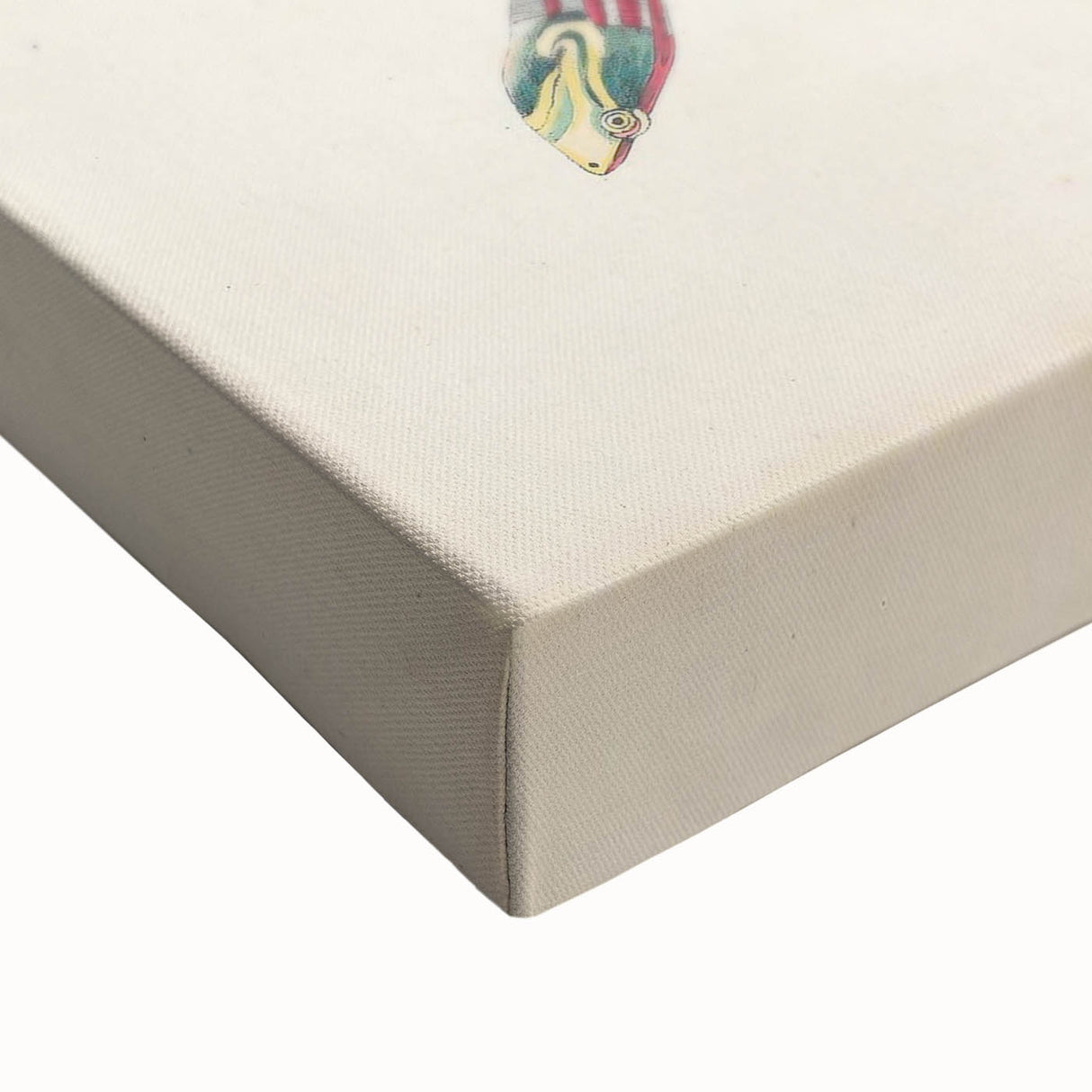 Vintage Animal Art – Kachuga Terrapin Turtle Illustration Print