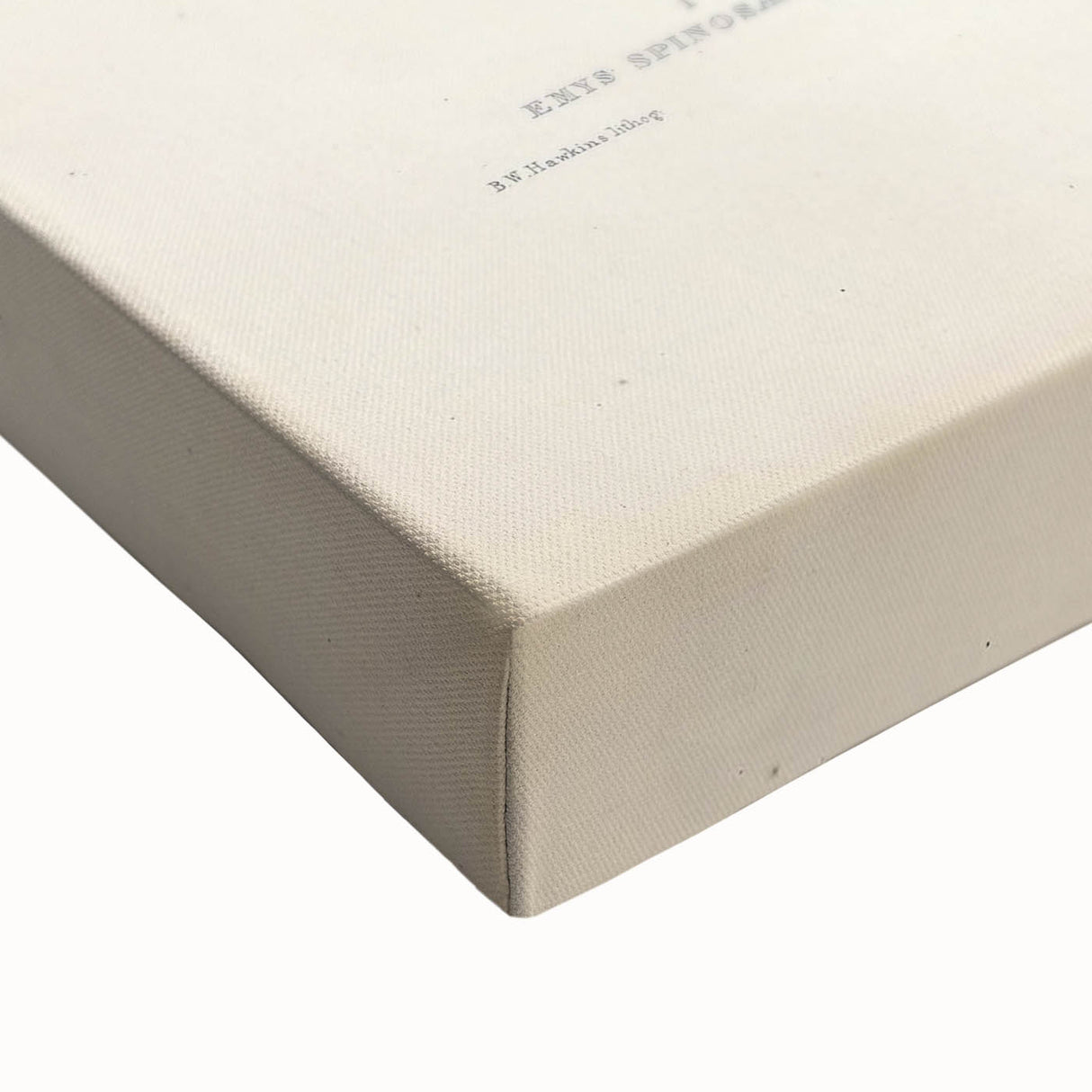 Vintage Animal Art – Spiny Turtle Illustration Wall Print