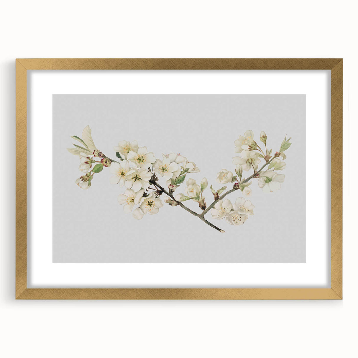 Delicate Cherry Blossom Art Prints: Elegant Floral Wall Art