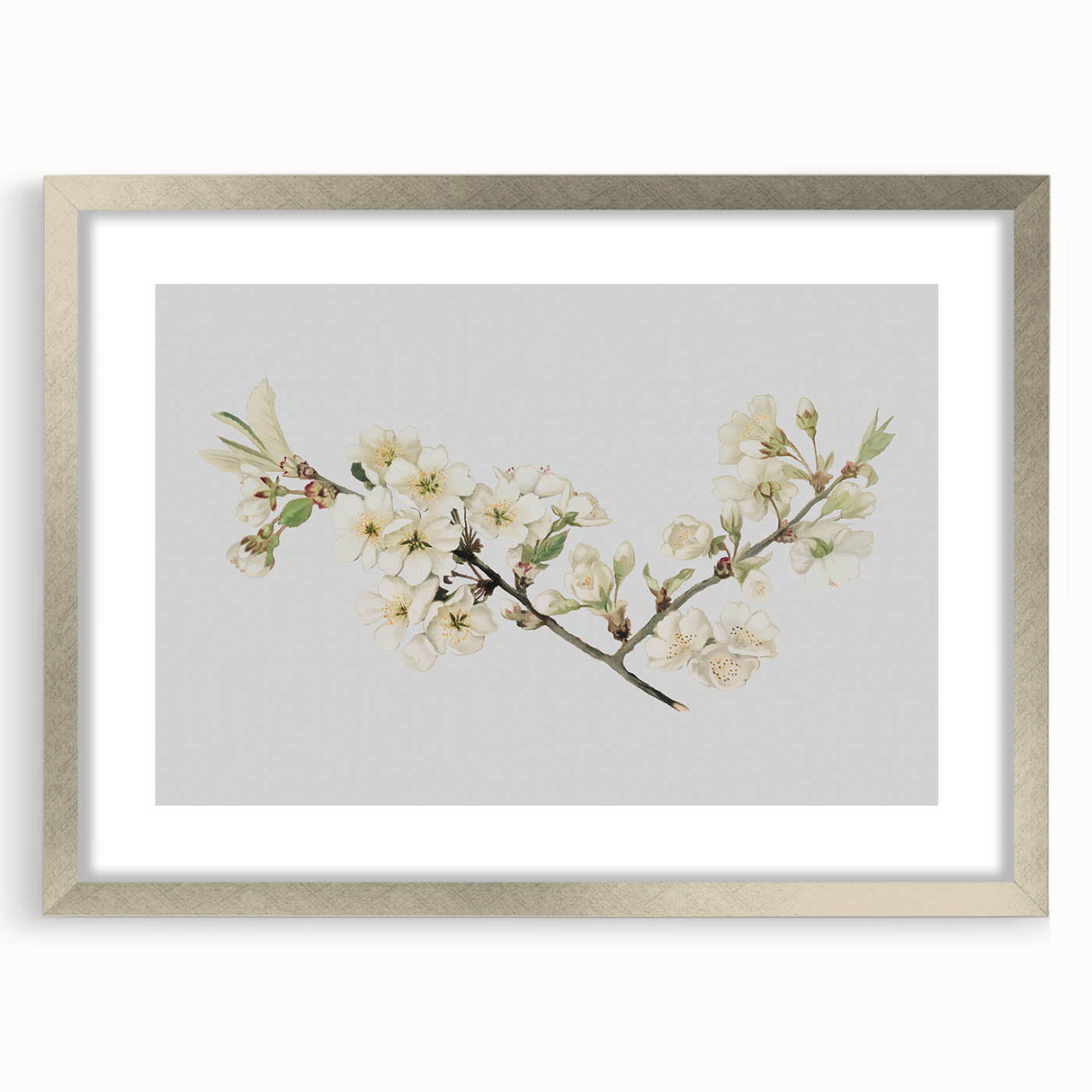 Delicate Cherry Blossom Art Prints: Elegant Floral Wall Art