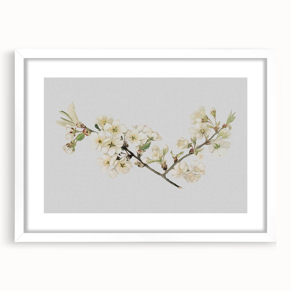 Delicate Cherry Blossom Art Prints: Elegant Floral Wall Art