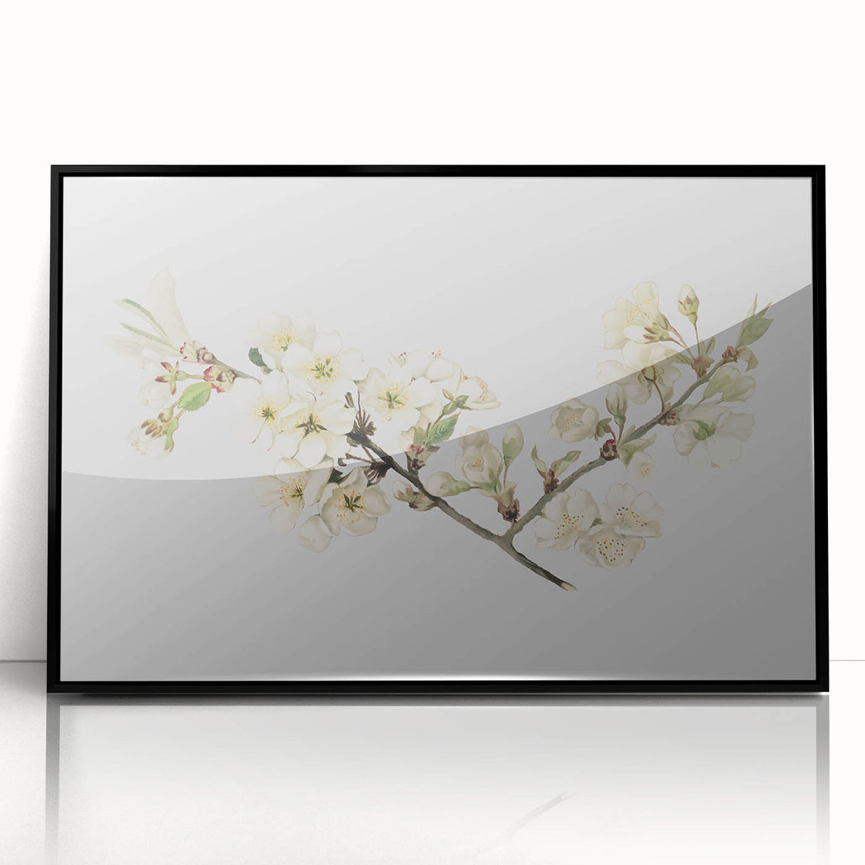 Delicate Cherry Blossom Art Prints: Elegant Floral Wall Art