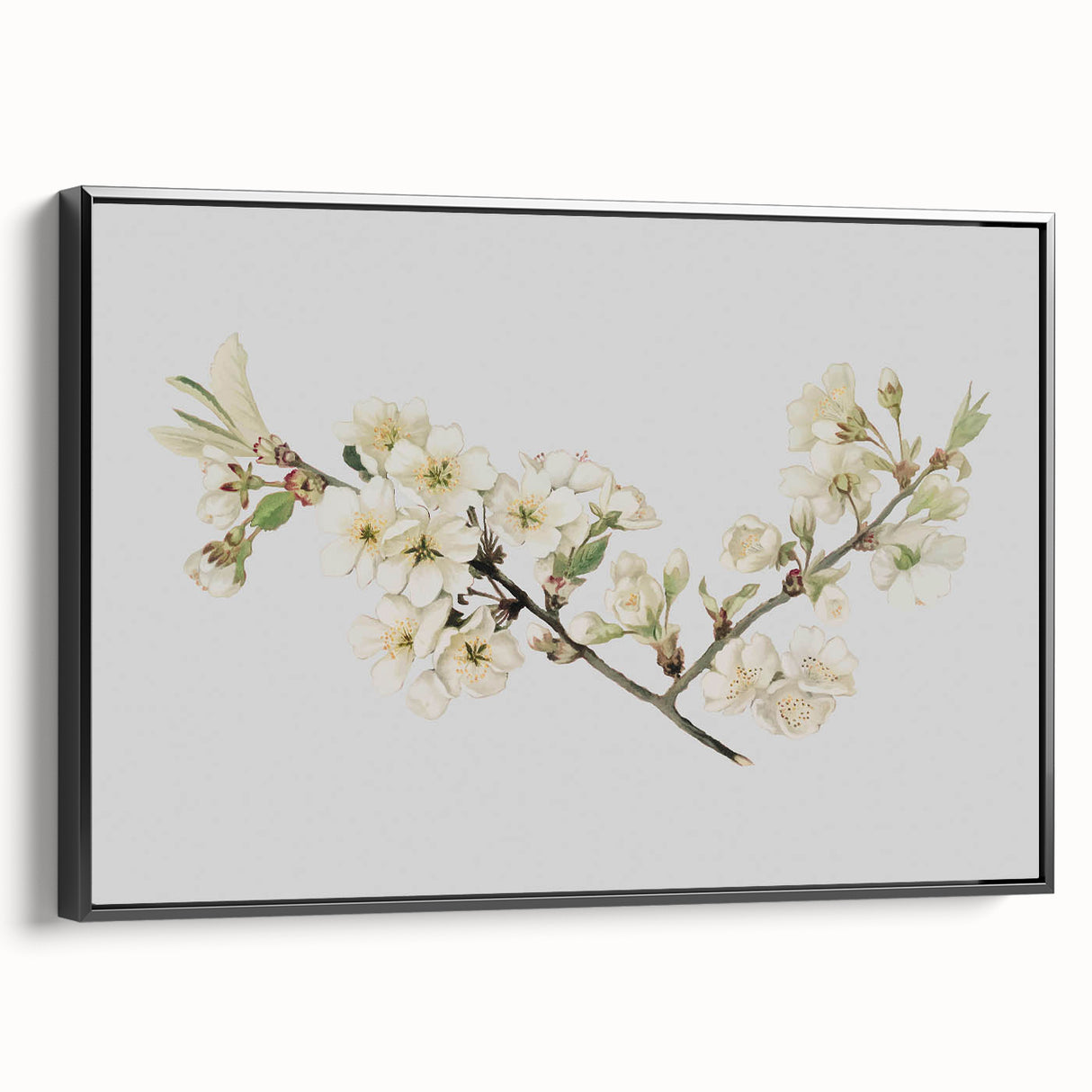 Delicate Cherry Blossom Art Prints: Elegant Floral Wall Art