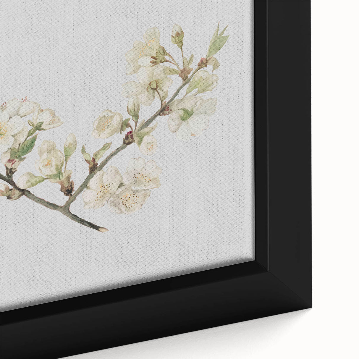 Delicate Cherry Blossom Art Prints: Elegant Floral Wall Art