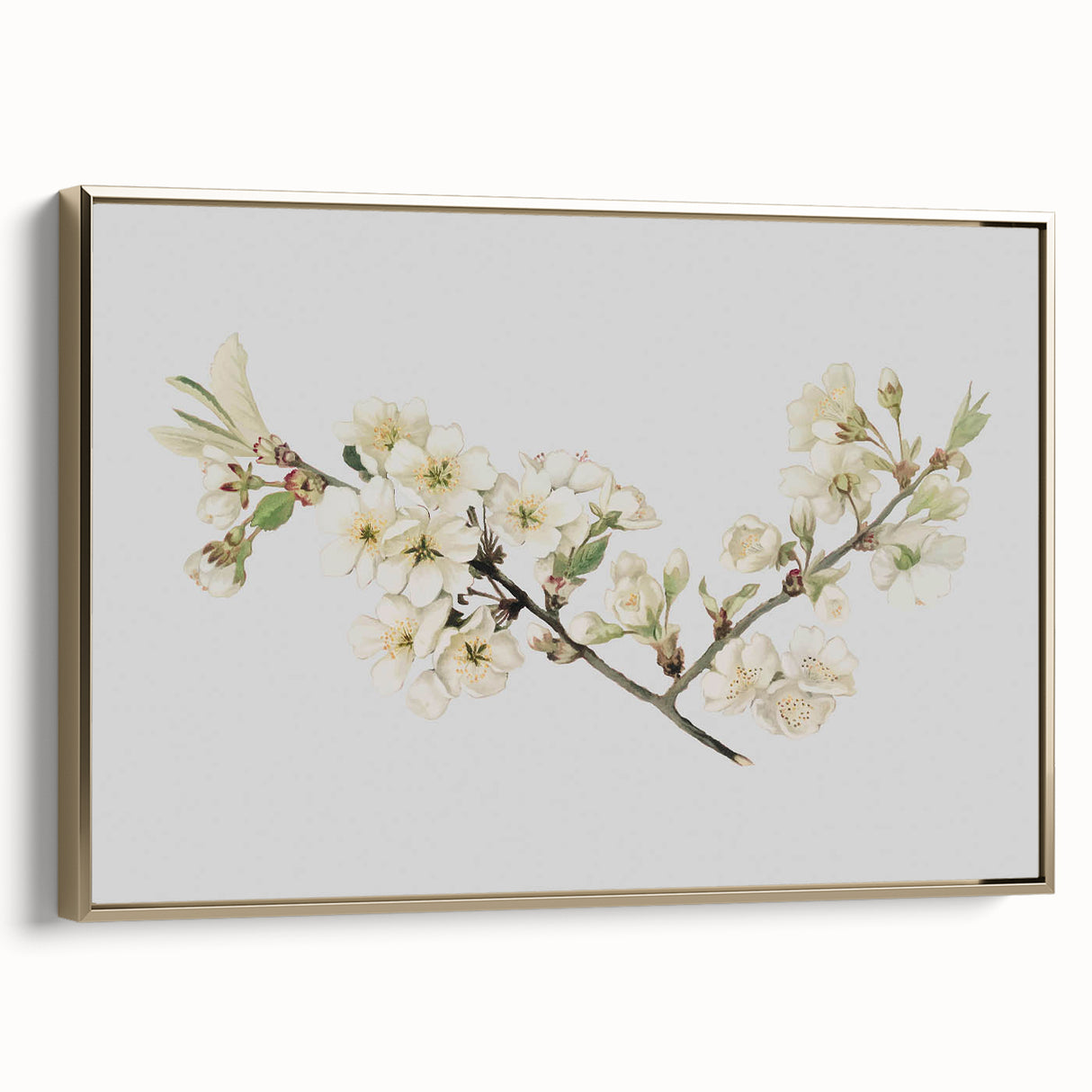 Delicate Cherry Blossom Art Prints: Elegant Floral Wall Art