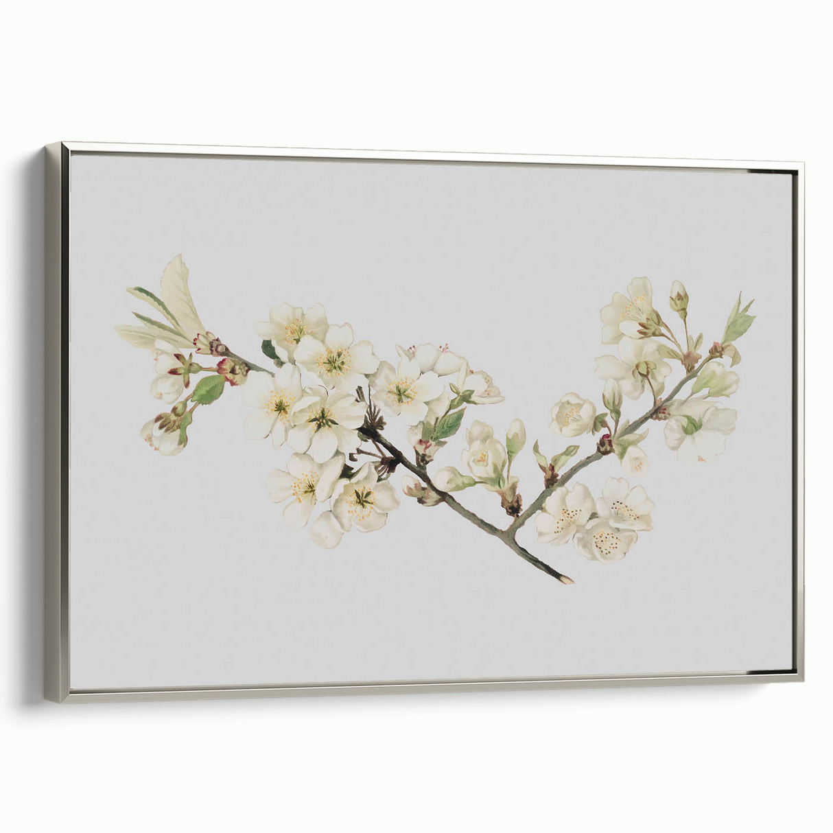 Delicate Cherry Blossom Art Prints: Elegant Floral Wall Art