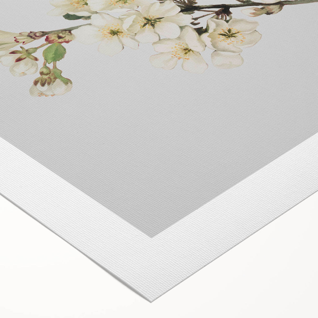 Delicate Cherry Blossom Art Prints: Elegant Floral Wall Art