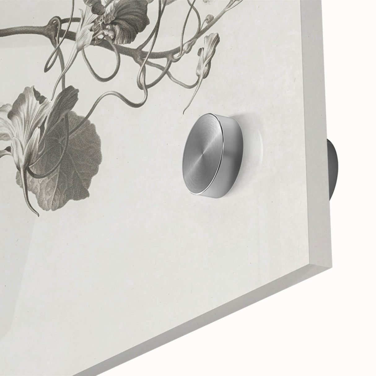 Black and White Botanical Art Prints: Elegant Nasturtium Wall Art