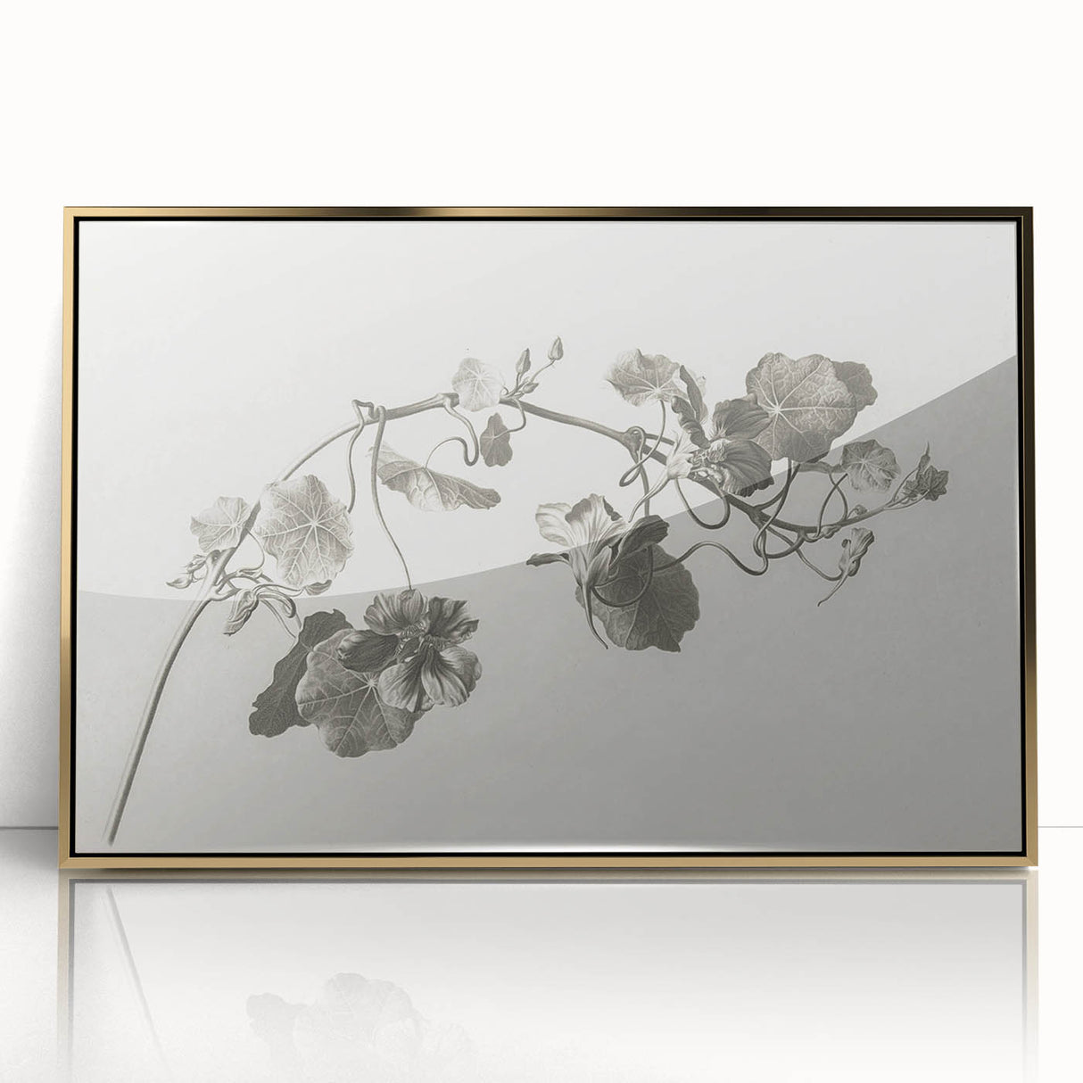 Black and White Botanical Art Prints: Elegant Nasturtium Wall Art