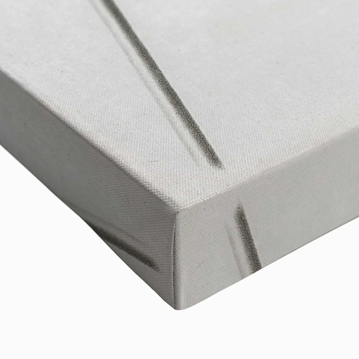 Black and White Botanical Art Prints: Elegant Nasturtium Wall Art