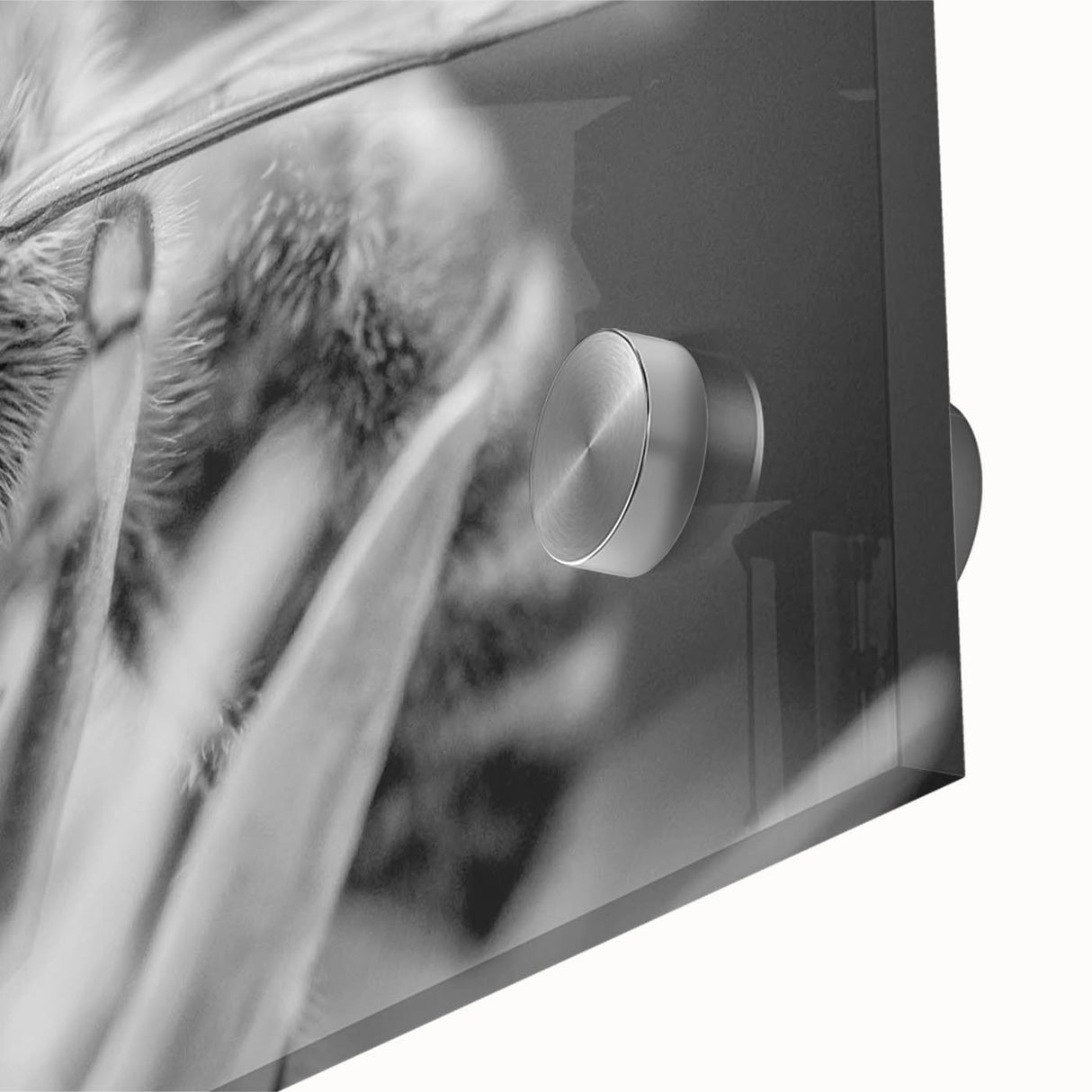 Close-up of a vibrant acrylic glass wall art piece showcasing intricate bee designs, highlighting yellow and black colors with detailed textures, perfect for nature enthusiasts.