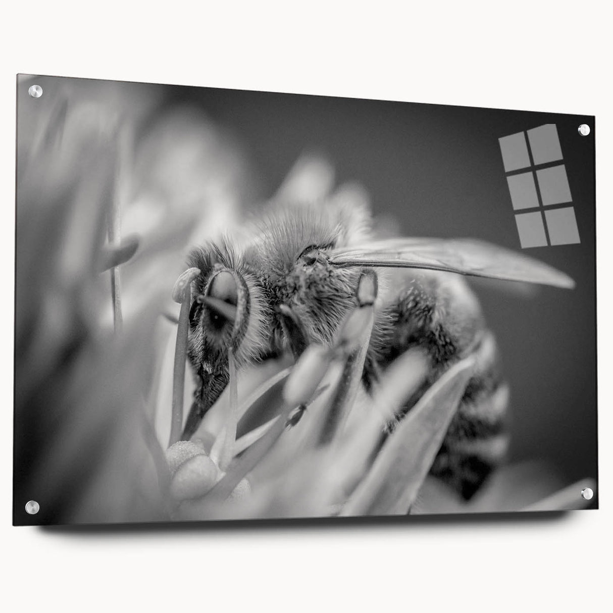 Wall art piece showcasing a detailed design of bees and arachnids on acrylic glass, displayed side view with pins, perfect for nature-themed decor.